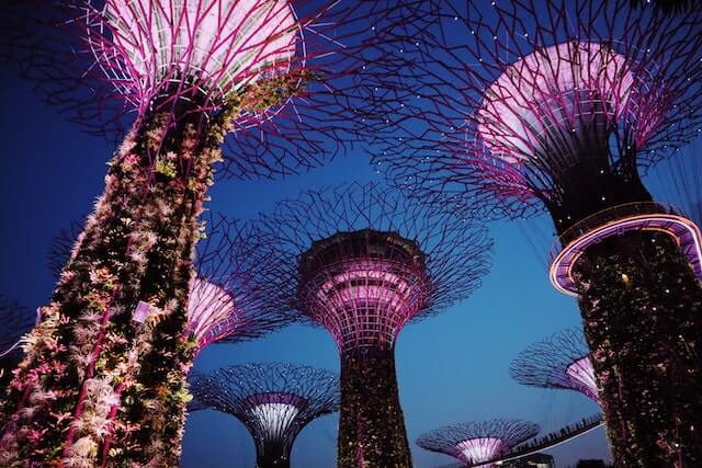 Singapūro sviečiantys medžiai